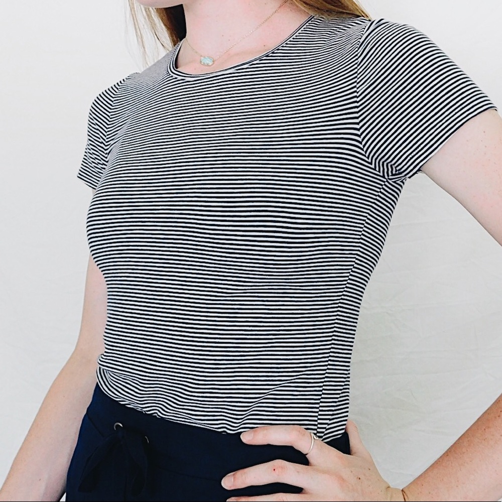 Striped Fitted Tshirt/shirt/top